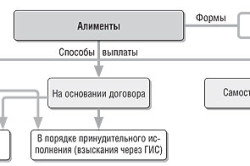 Виды алиментов