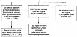 Расторжение брака: какова сумма госпошлины при разводе в 2019 году?