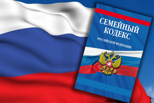 Формирование размера алиментов на основании Семейного кодекса 